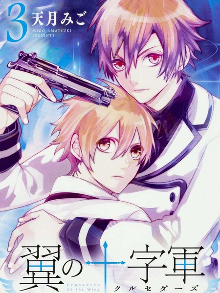 翼的十字军