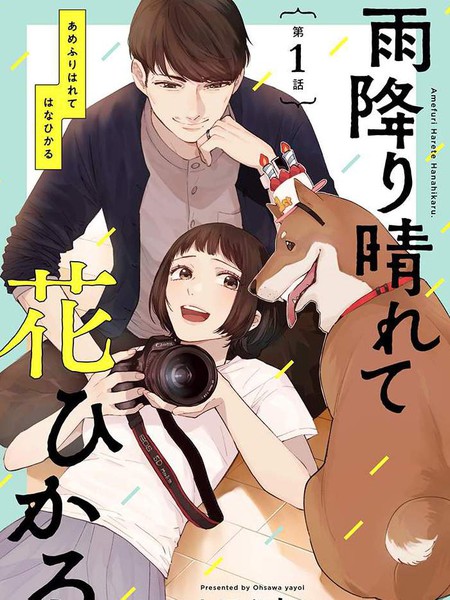 雨过天晴花光相映