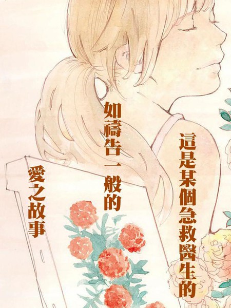 四分钟的金盏菊