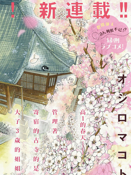 猫之寺的知恩姐