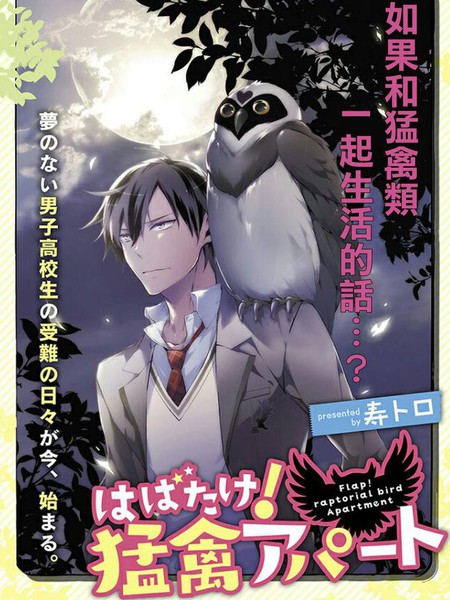 振翅高飞吧！猛禽公寓