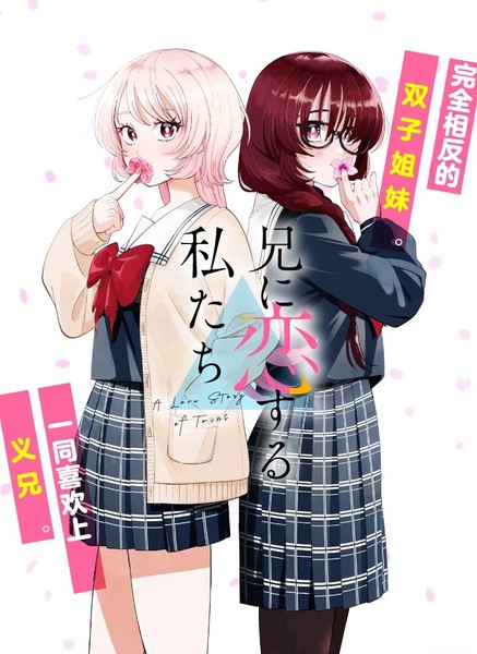 爱上哥哥的我们