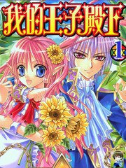 我的王子殿下