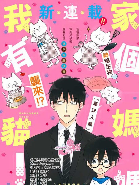 我家有个猫妈妈!