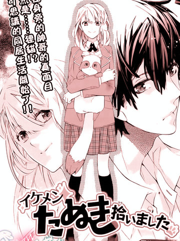 捡到一只帅狸猫