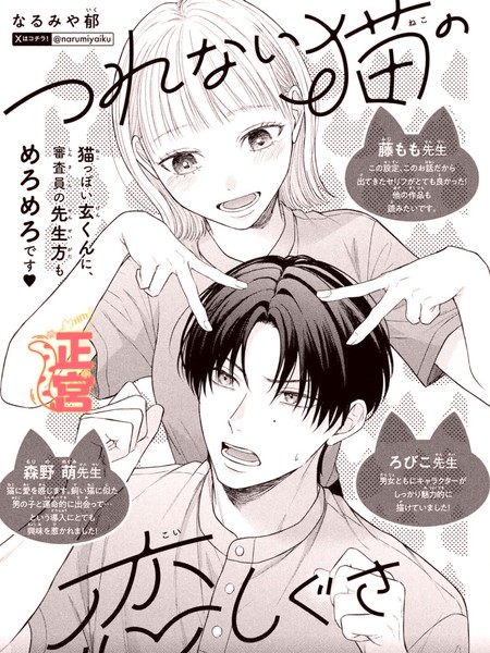 冷酷猫咪的恋爱姿态