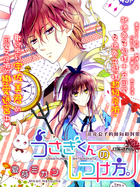 兔子先生的调教方法