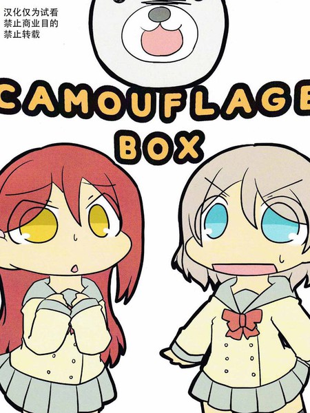 CamouflageBox