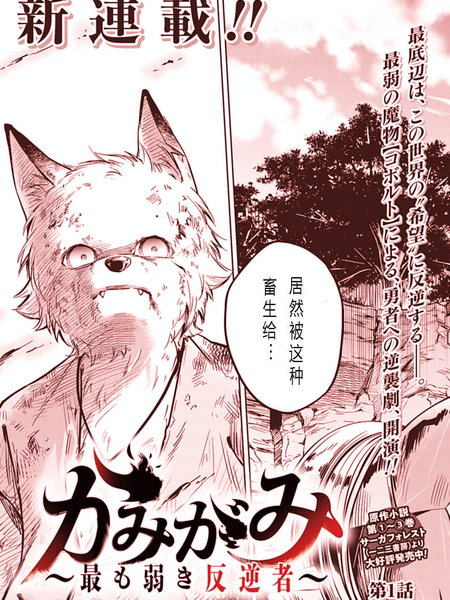 神与神最弱的反击者