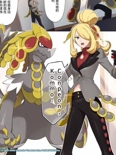 宝可梦大师周年庆特别篇