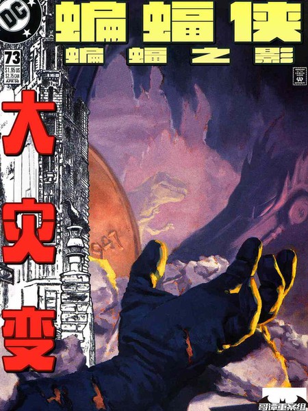 蝙蝠侠:蝙蝠之影