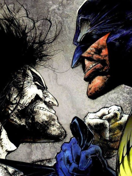 蝙蝠侠与暴狼罗伯:至死严肃