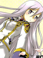 钢壳四格菲丽之诗