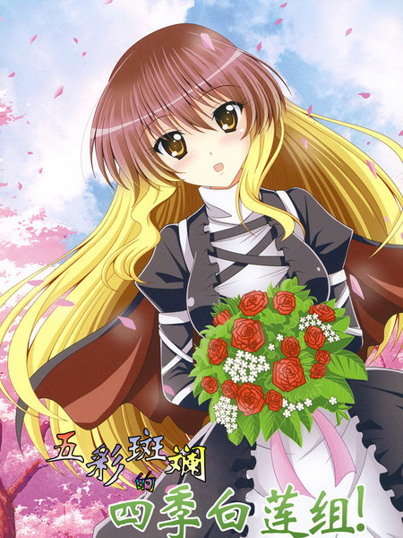 五彩缤纷的，四季×白莲！