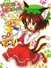 野猫的少女时间