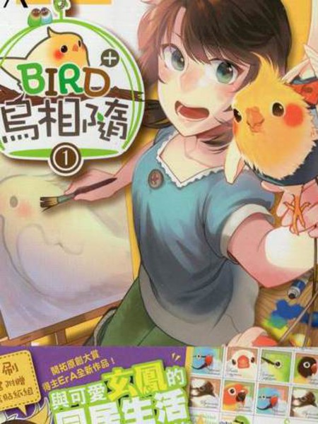bird 鸟相随