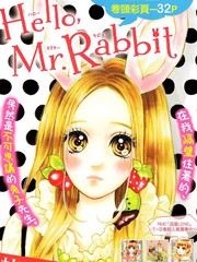Hello,MrRabbit