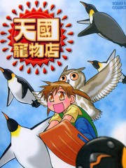 天国宠物店