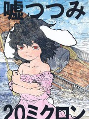 谎言包裹的20微米