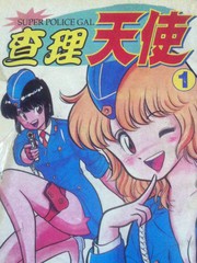 superpolicegal查理天使