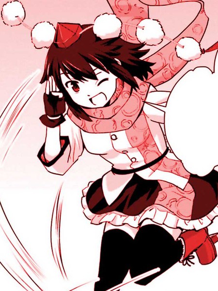 射命丸文的考察