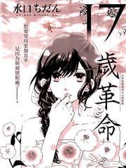 17岁革命