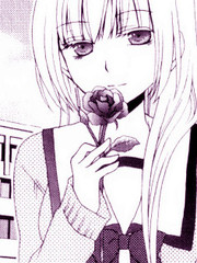 姐姐大人的心意