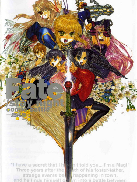 Fate/staynight激突篇