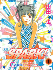 SPARK火花