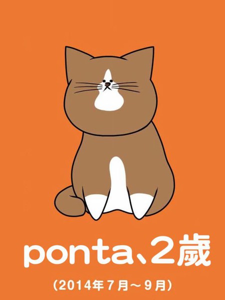 鸿池刚与猫咪邦太呜喵