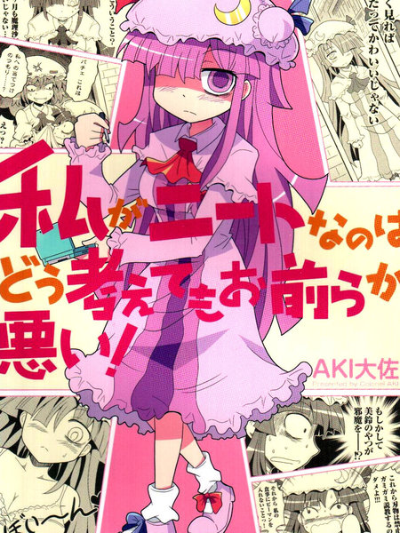 我是NEET怎么想都是你们的错