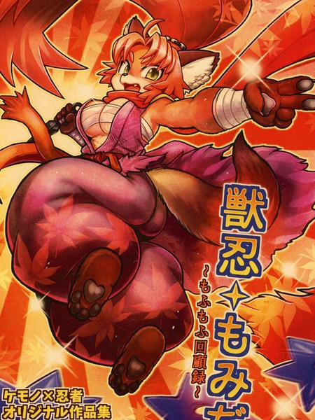 兽忍红叶~毛茸茸回忆录~