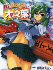 风水先生Dr木之叶