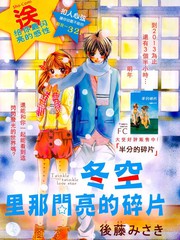 冬空里那闪亮的碎片