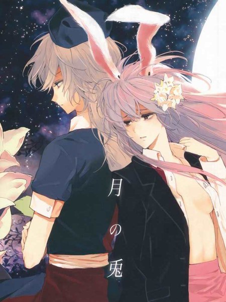 月之兔