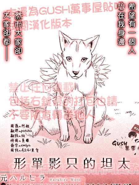 形单影只的坦太