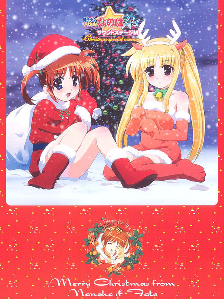 魔法少女奈叶A's