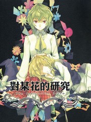 对某花的研究