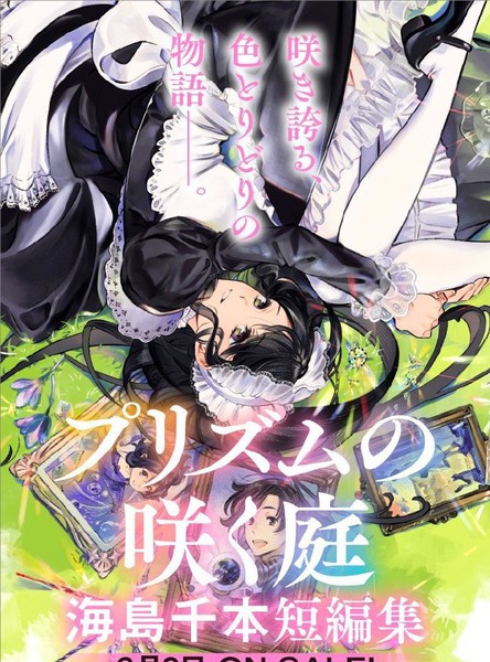 与猫相约杜伯尼克