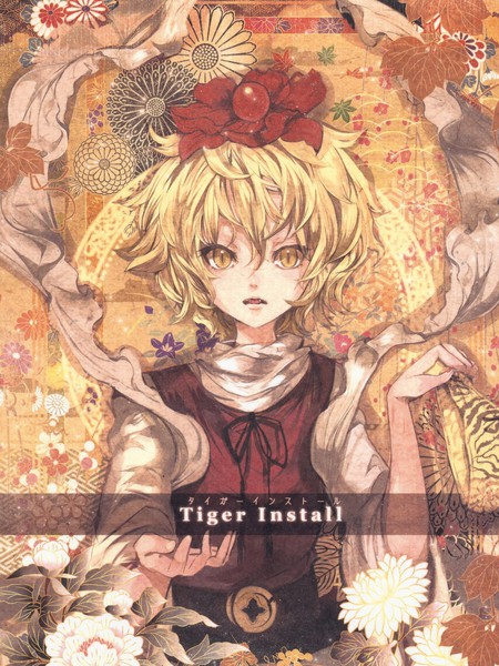 TigerInstall