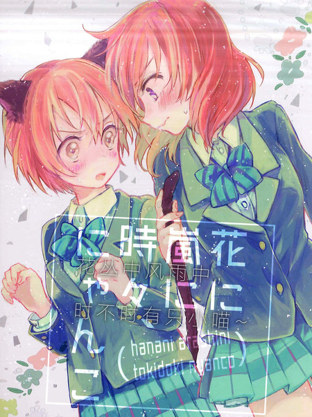 花丛中风雨中，时不时有只小喵~