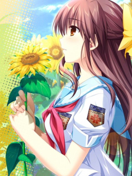 车轮之国-向日葵的少女