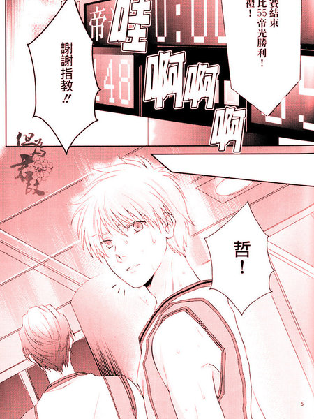 白妙菊不再盛开