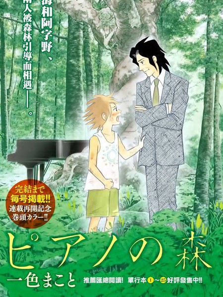 森林中的钢琴师