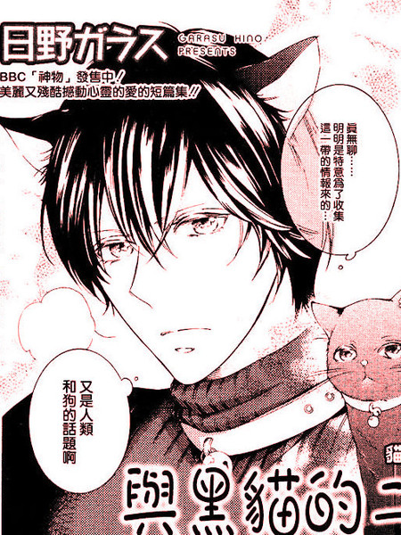 与黑猫的二人生活