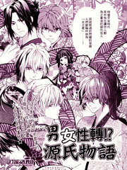 男女性转源氏物语