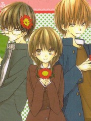 单恋的三角关系