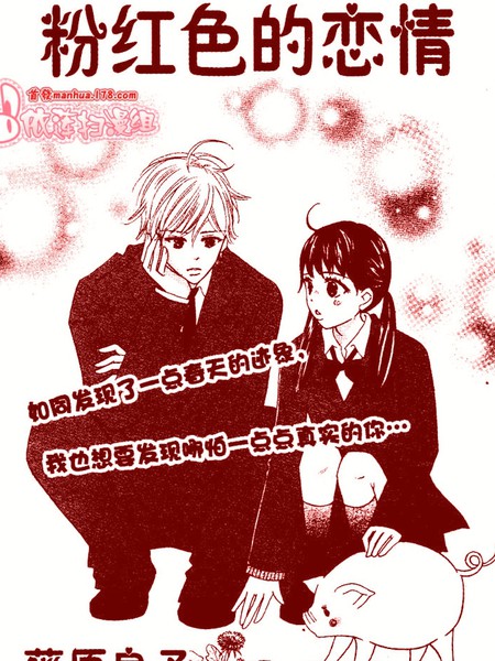 粉红色的恋情