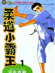 柔道小霸王