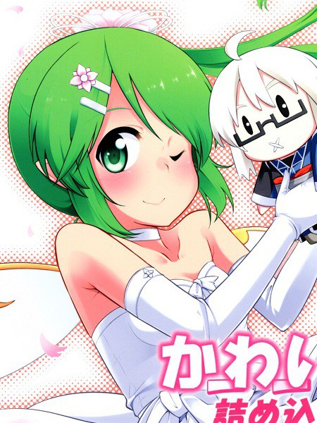 可爱的我已经包装好了